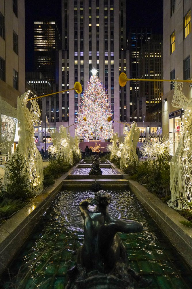20 Best Christmas Trees In NYC In 2023