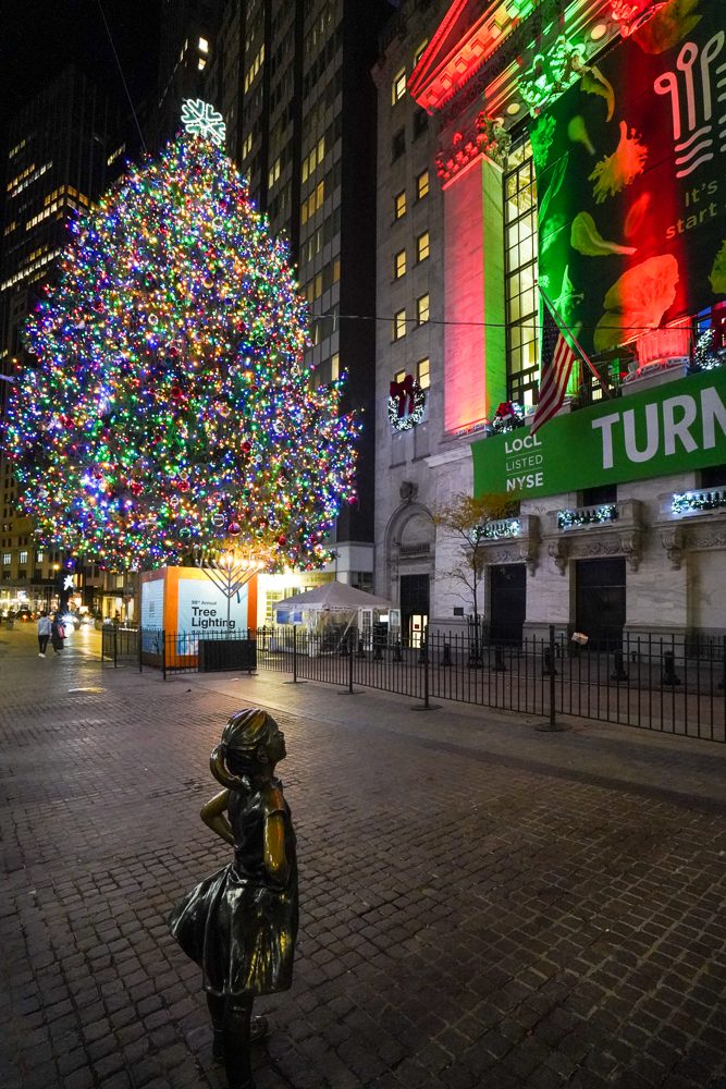 Best Christmas Trees to See in NYC